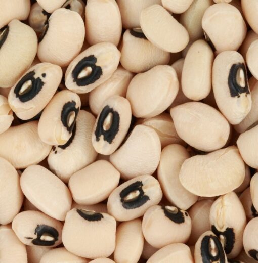 EcoBasic PBR Cowpea