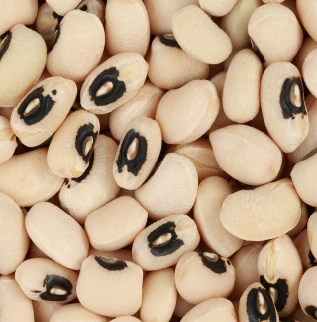EcoBasic PBR Cowpea
