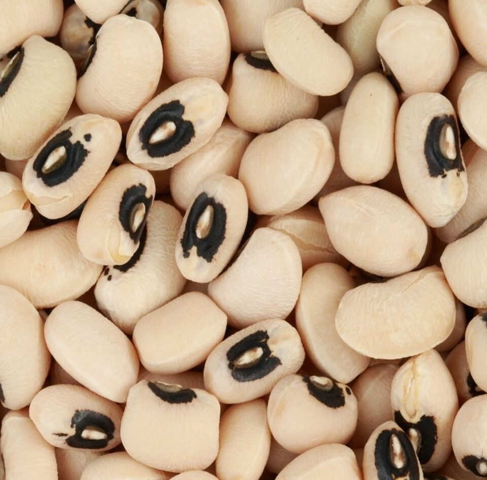 EcoBasic PBR Cowpea